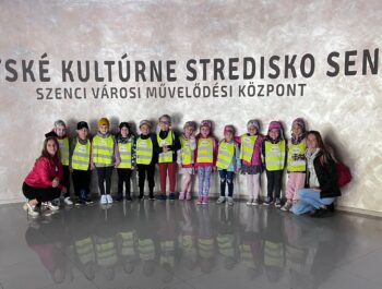 Mestská knižnica v Senci
