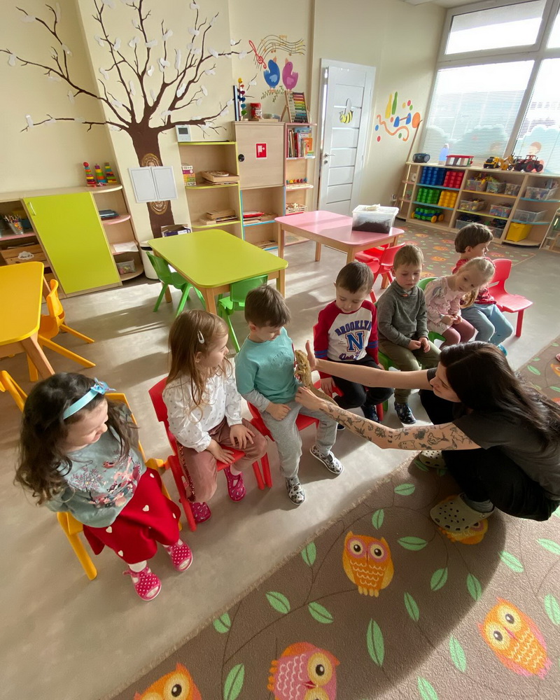 Simonka a jašterica Agama bradatá